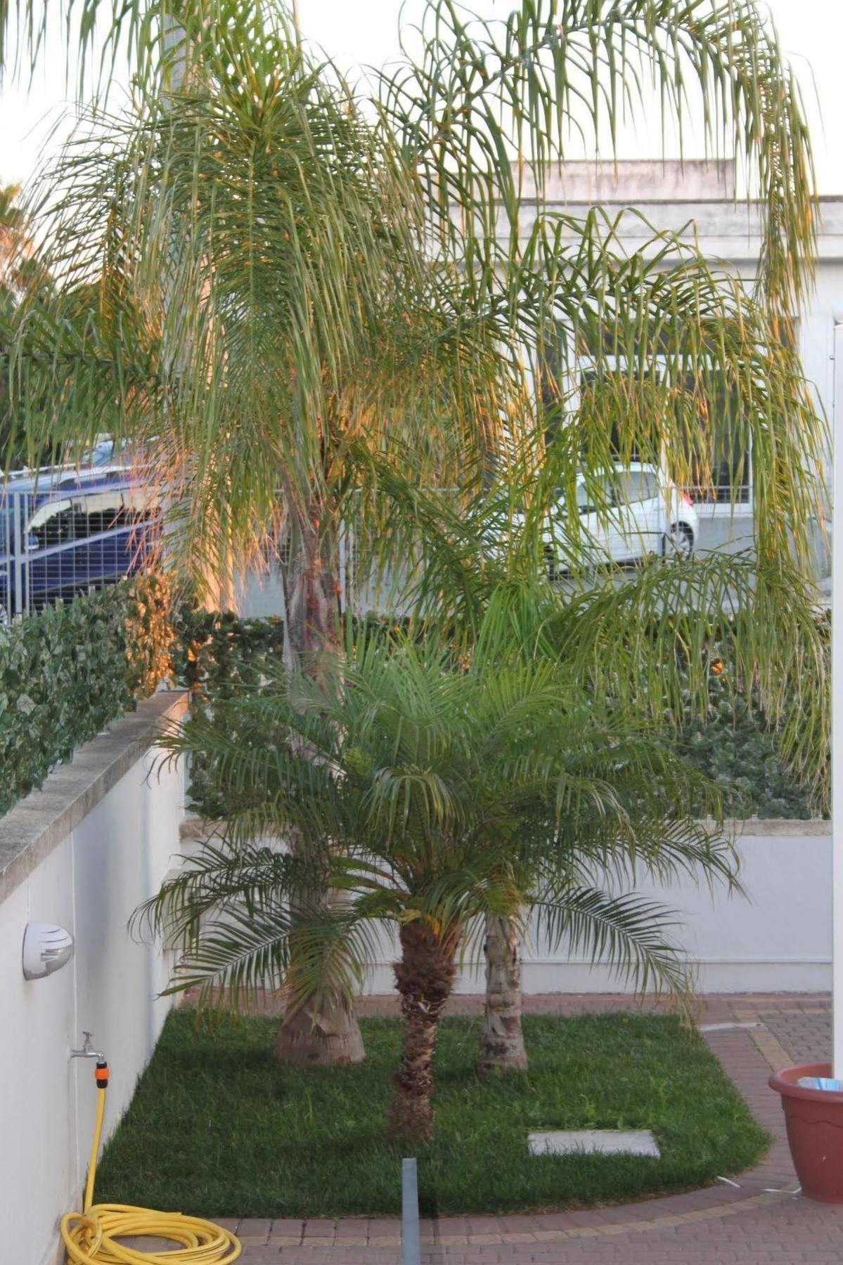 B&B Kalinifta Residence Carpignano Salentino Bagian luar foto